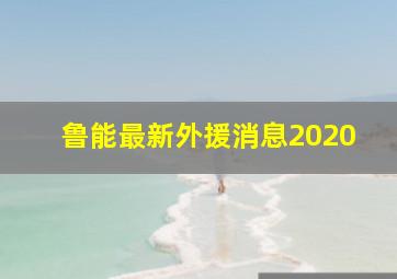 鲁能最新外援消息2020