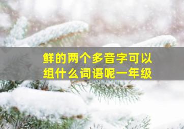 鲜的两个多音字可以组什么词语呢一年级