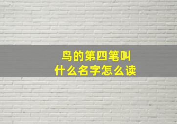 鸟的第四笔叫什么名字怎么读