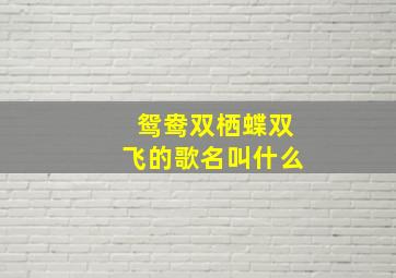 鸳鸯双栖蝶双飞的歌名叫什么