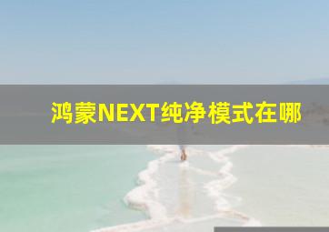 鸿蒙NEXT纯净模式在哪