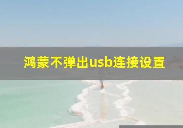 鸿蒙不弹出usb连接设置