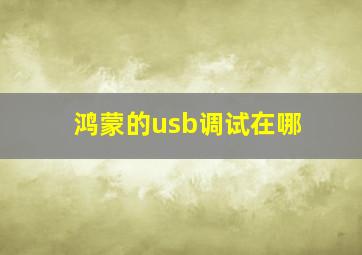 鸿蒙的usb调试在哪