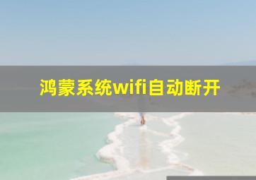 鸿蒙系统wifi自动断开