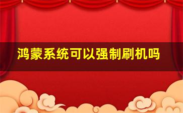 鸿蒙系统可以强制刷机吗