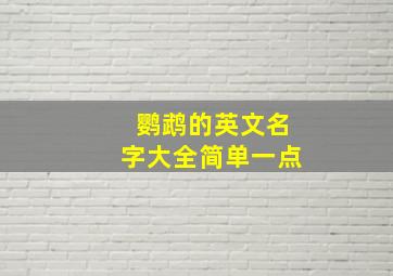 鹦鹉的英文名字大全简单一点