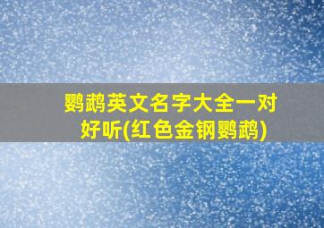 鹦鹉英文名字大全一对好听(红色金钢鹦鹉)