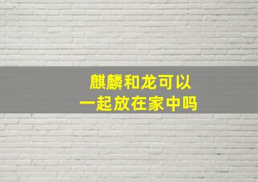 麒麟和龙可以一起放在家中吗