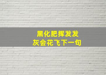 黑化肥挥发发灰会花飞下一句