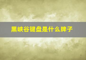 黑峡谷键盘是什么牌子