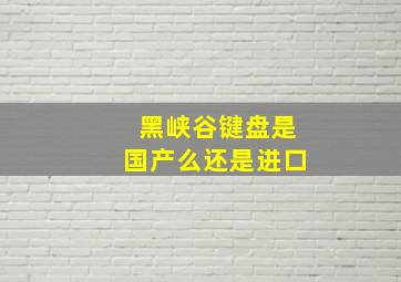 黑峡谷键盘是国产么还是进口