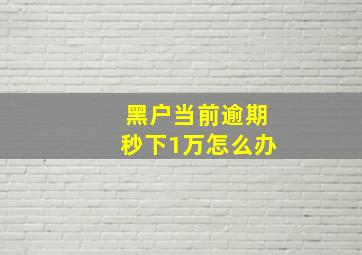 黑户当前逾期秒下1万怎么办