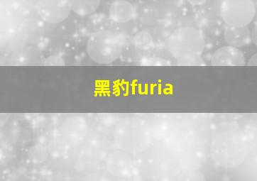 黑豹furia