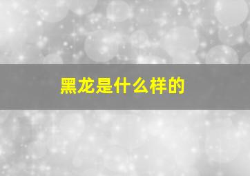 黑龙是什么样的