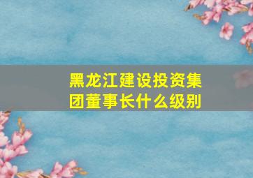 黑龙江建设投资集团董事长什么级别