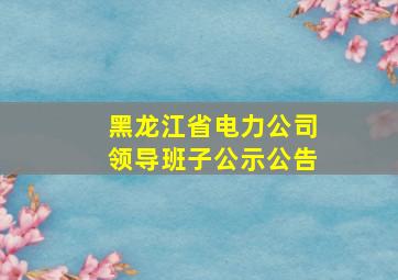 黑龙江省电力公司领导班子公示公告