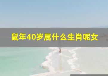 鼠年40岁属什么生肖呢女