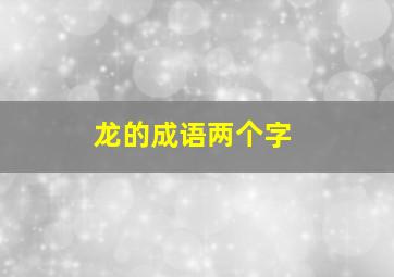 龙的成语两个字